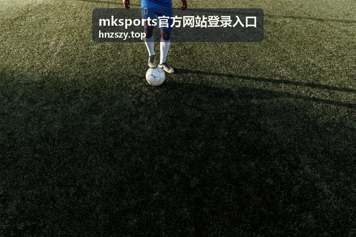 mksports官方网站登录入口的登录步骤示意画面