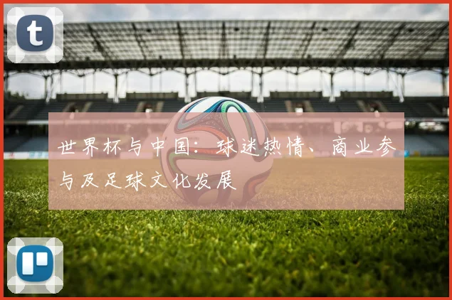 世界杯与中国：球迷热情、商业参与及足球文化发展