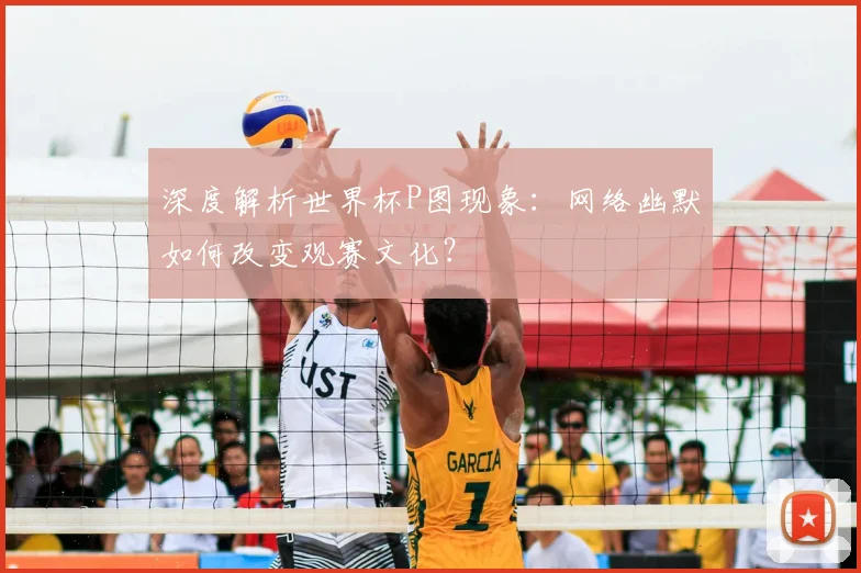 深度解析世界杯P图现象:网络幽默如何改变观赛文化?