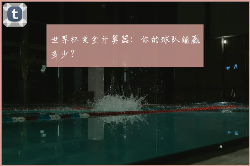 世界杯奖金计算器:你的球队能赢多少?